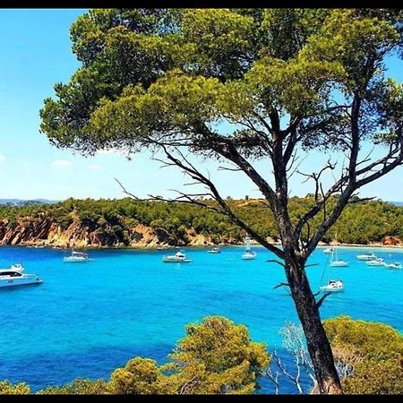 Appartement Pieds Dans L'Eau Vue Mer Bormes Les Mimosas Extérieur photo