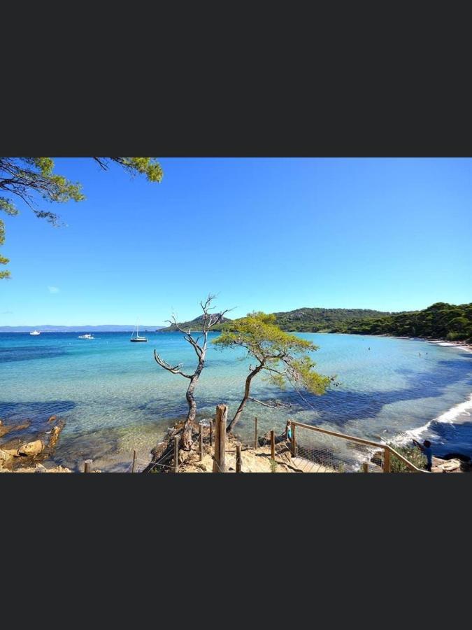 Appartement Pieds Dans L'Eau Vue Mer Bormes Les Mimosas Extérieur photo