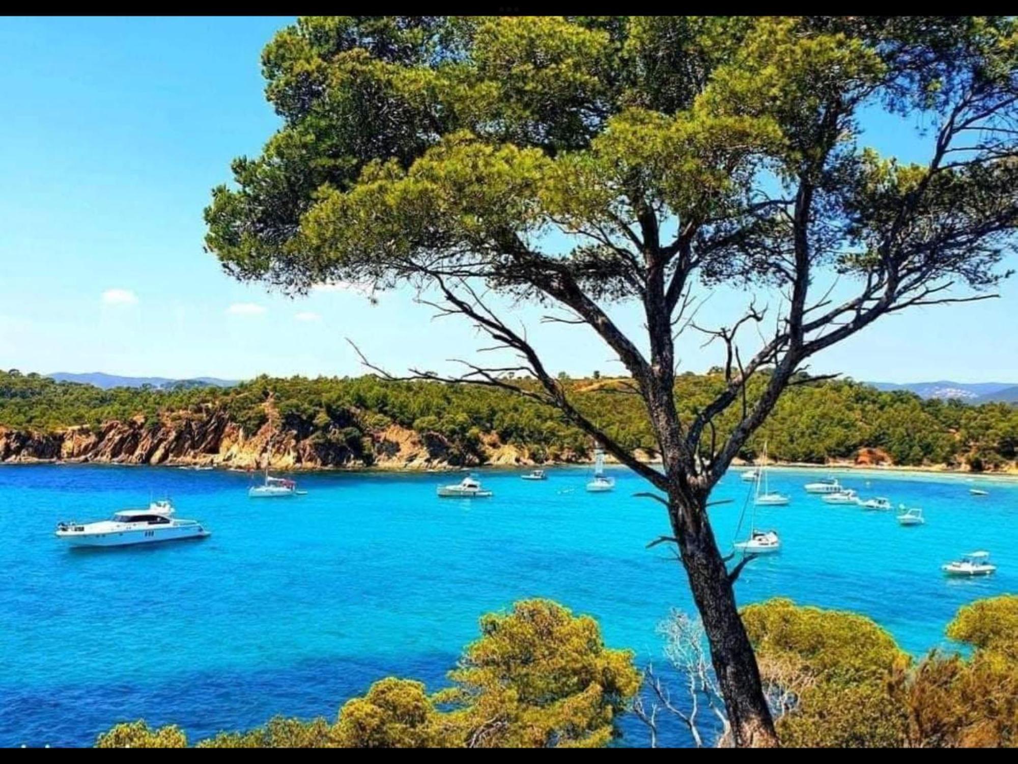 Appartement Pieds Dans L'Eau Vue Mer Bormes Les Mimosas Extérieur photo