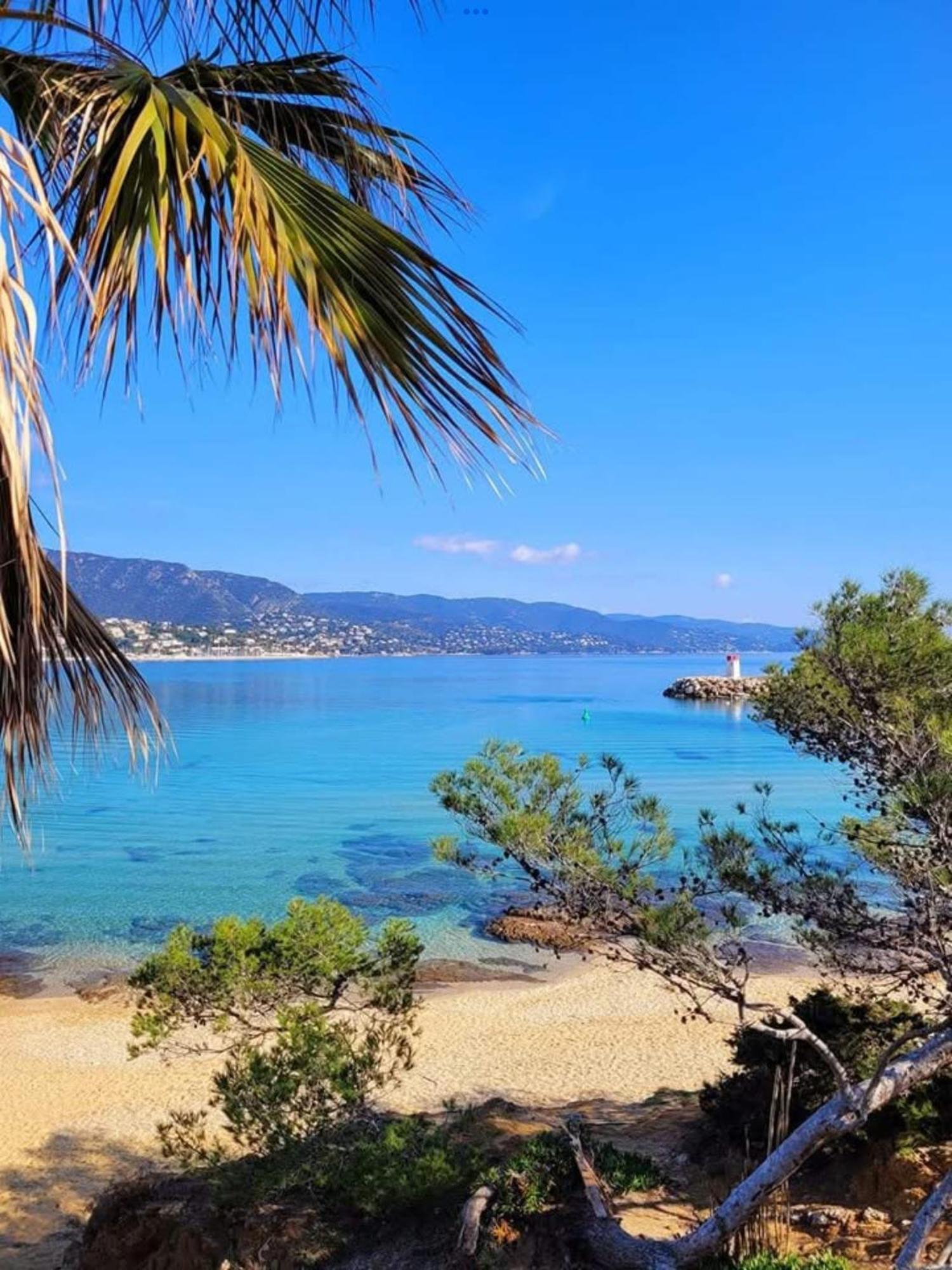Appartement Pieds Dans L'Eau Vue Mer Bormes Les Mimosas Extérieur photo